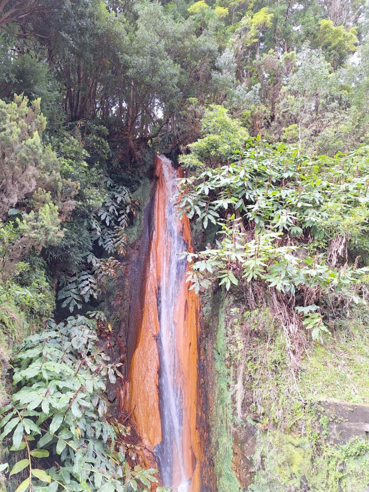 蓬塔德尔加达Caminhos Nos Levam Pela Ilha公寓 外观 照片